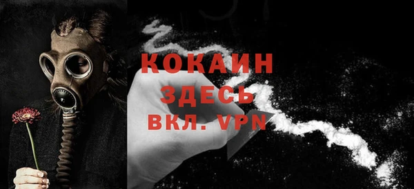 гидра Рославль