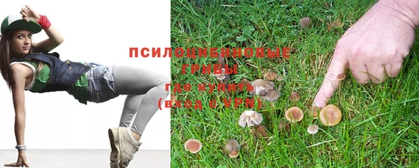 спиды Алексеевка