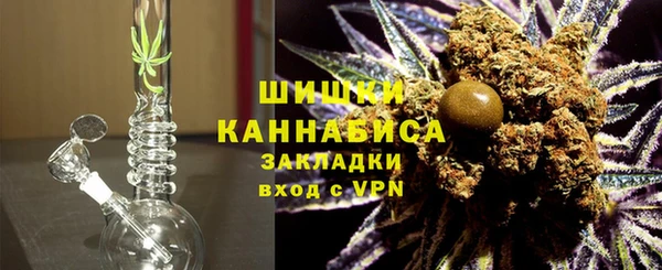 дживик Россошь