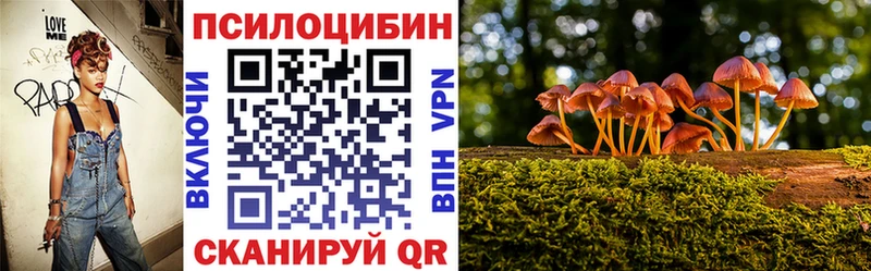 гидра как войти площадка состав Галлюциногенные грибы мухоморы Белый